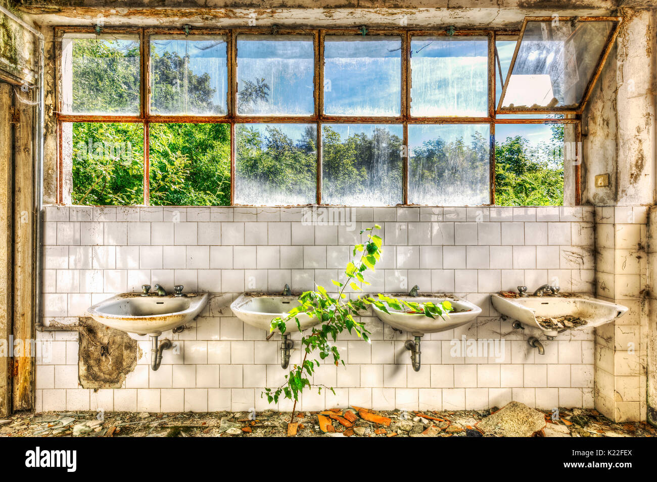 Verfallene Waschbecken im Waschraum eines verlassenen Asyl Stockfoto