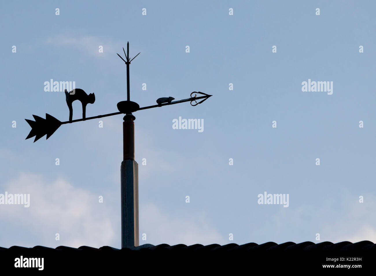 Wetterfahne Mit Katze & Schmetterling - Edelstahl Windrichtungsanzeiger 35x50cm