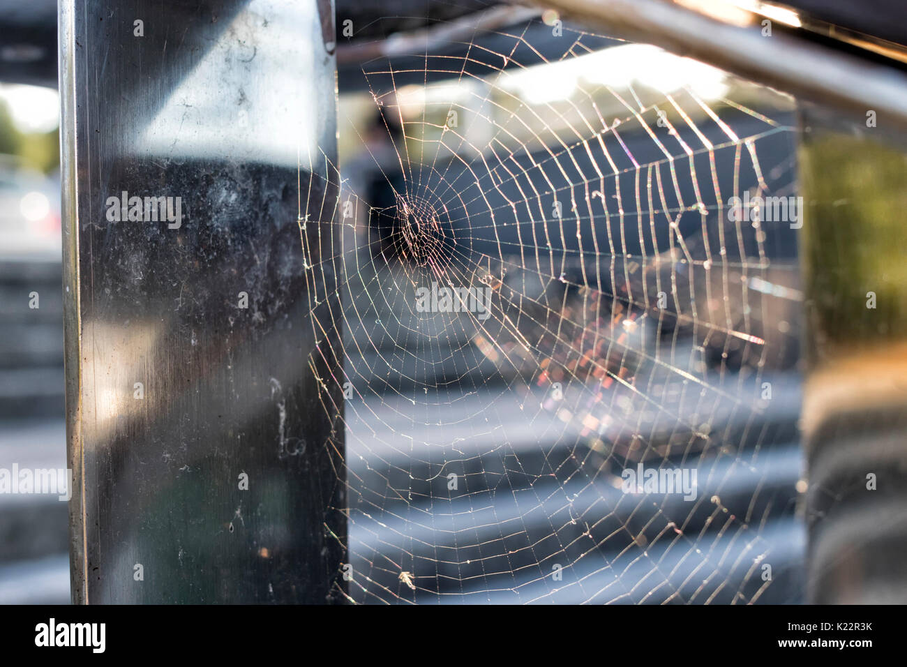 Closeup Bild eines Spiderweb am Geländer. Stockfoto