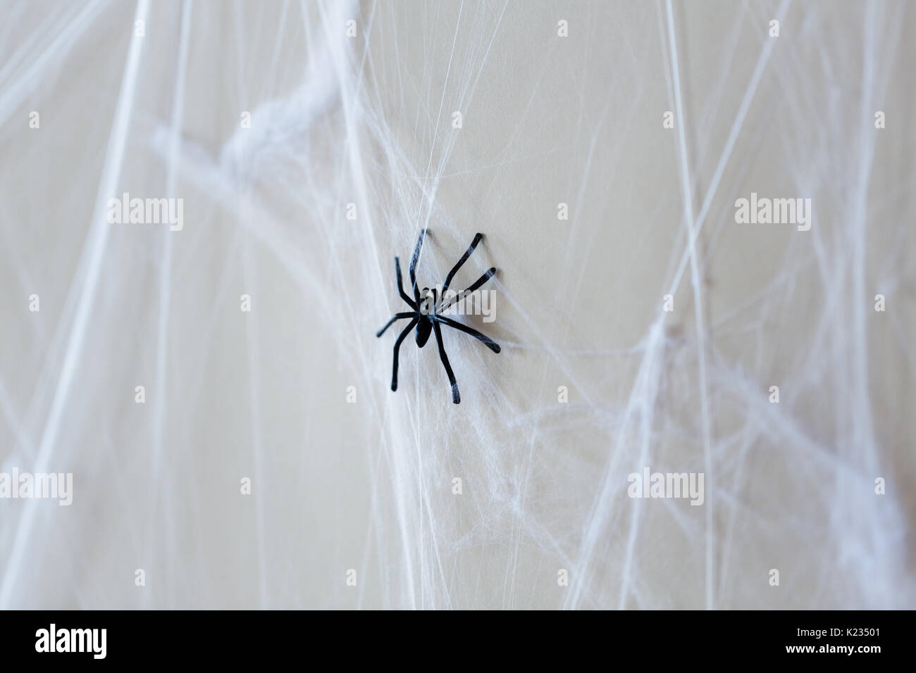 Halloween Dekoration der schwarzen Spielzeug Spinne mit Spinnennetz Stockfoto