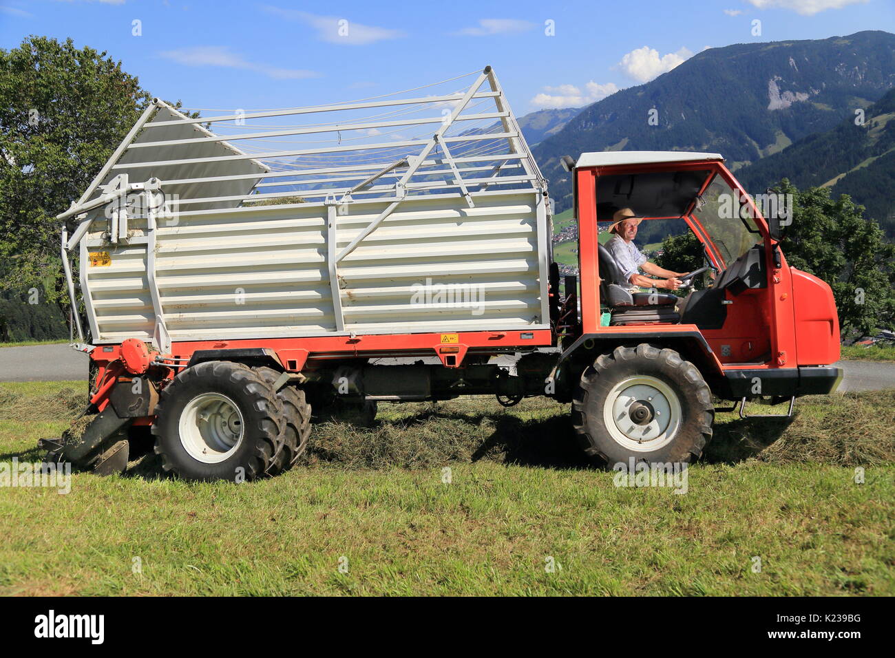 Ein Berg Bauer arbeiten mit einem Heu Feldhäcksler Stockfoto