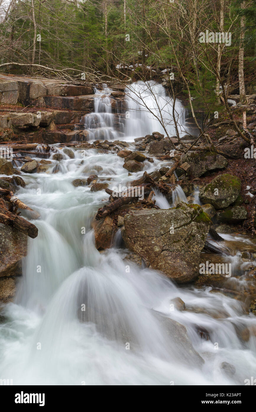 Treppen mit trockenen Bach in Franconia Notch State Park der New Hampshire White Mountains in den Frühlingsmonaten. Stockfoto
