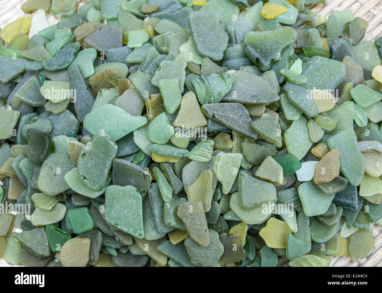 In der Nähe von Meer getragen Olive Green sea glass Collection. Meer Glas Stücke von schottischen Stränden, Schottland, Großbritannien Stockfoto