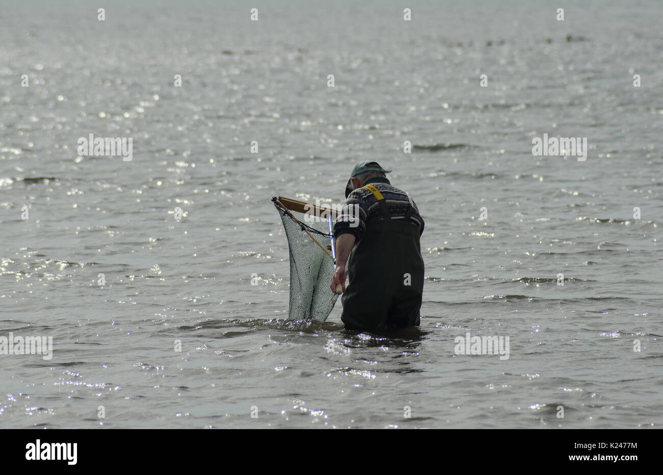 Die traditionelle Methode der Garnelenfischerei an der Küste von Northumberland Stockfoto