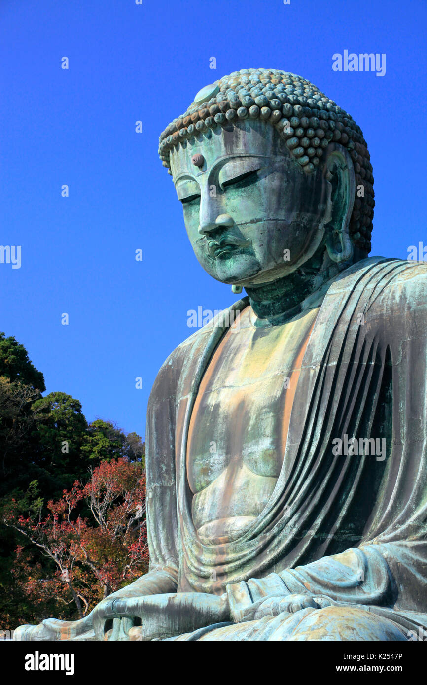 Der große Buddha von Kamakura an Kotokuin Tempel in Kamakura Stadt Kanagawa Japan Stockfoto