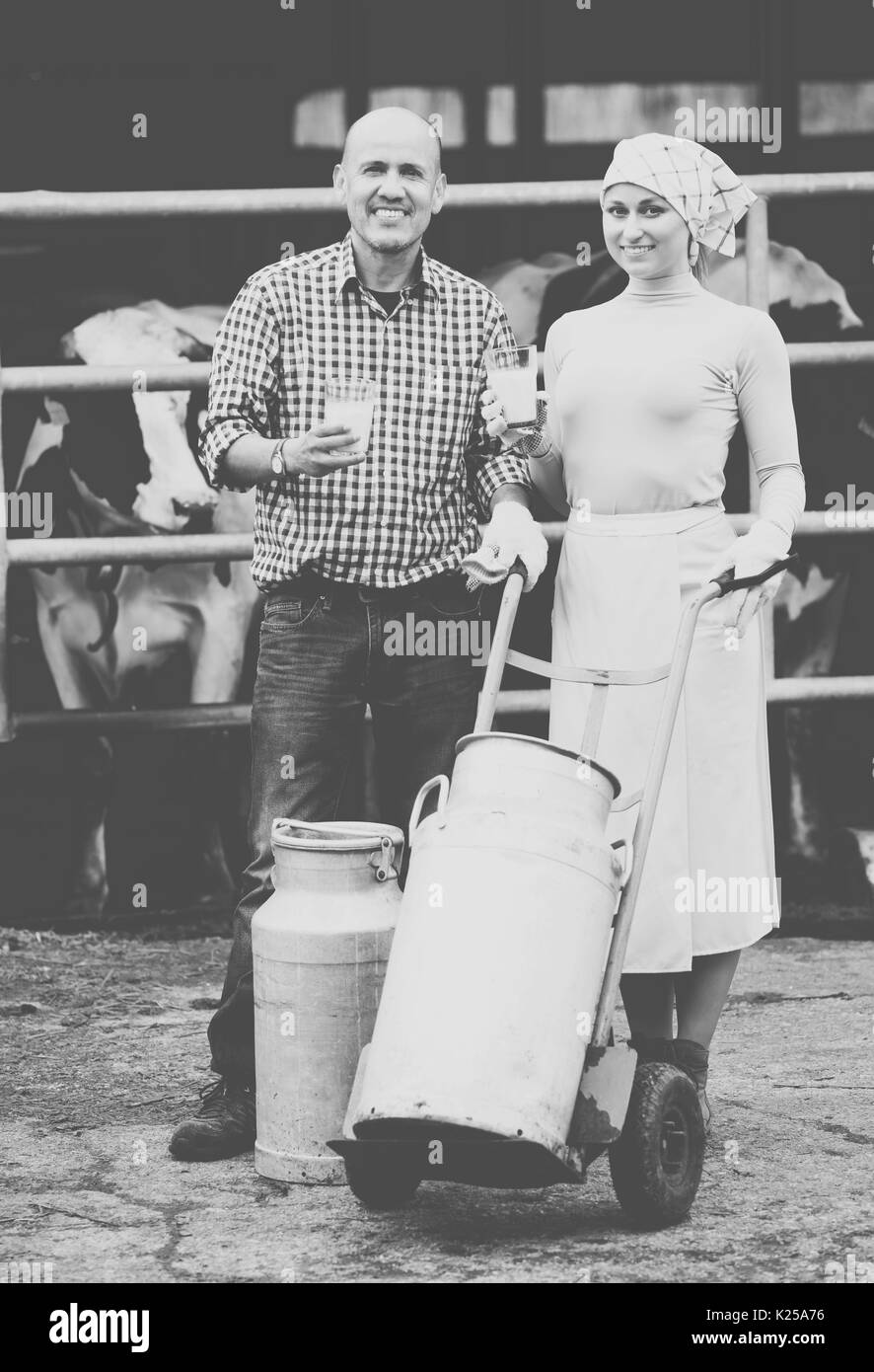 Fröhlicher Mann und Frau Bauer Arbeitnehmer stehen mit großen Milch Eimer und Sprechen im Kuhstall. Fokus auf den Menschen Stockfoto