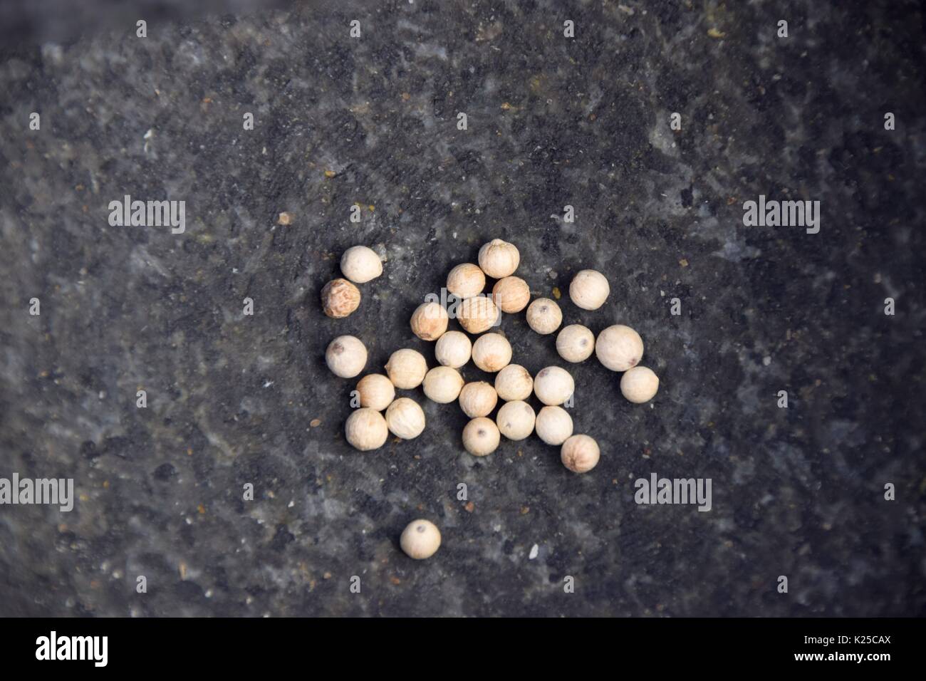 Mörser und Stößel aus schwarzem Marmor oder Granit, schleifen Sie die Gewürze, Mörtel Schleifmaschine, Vorbereitung der Zutaten oder Stoffe, die Vorbereitung von Arzneimitteln Stockfoto
