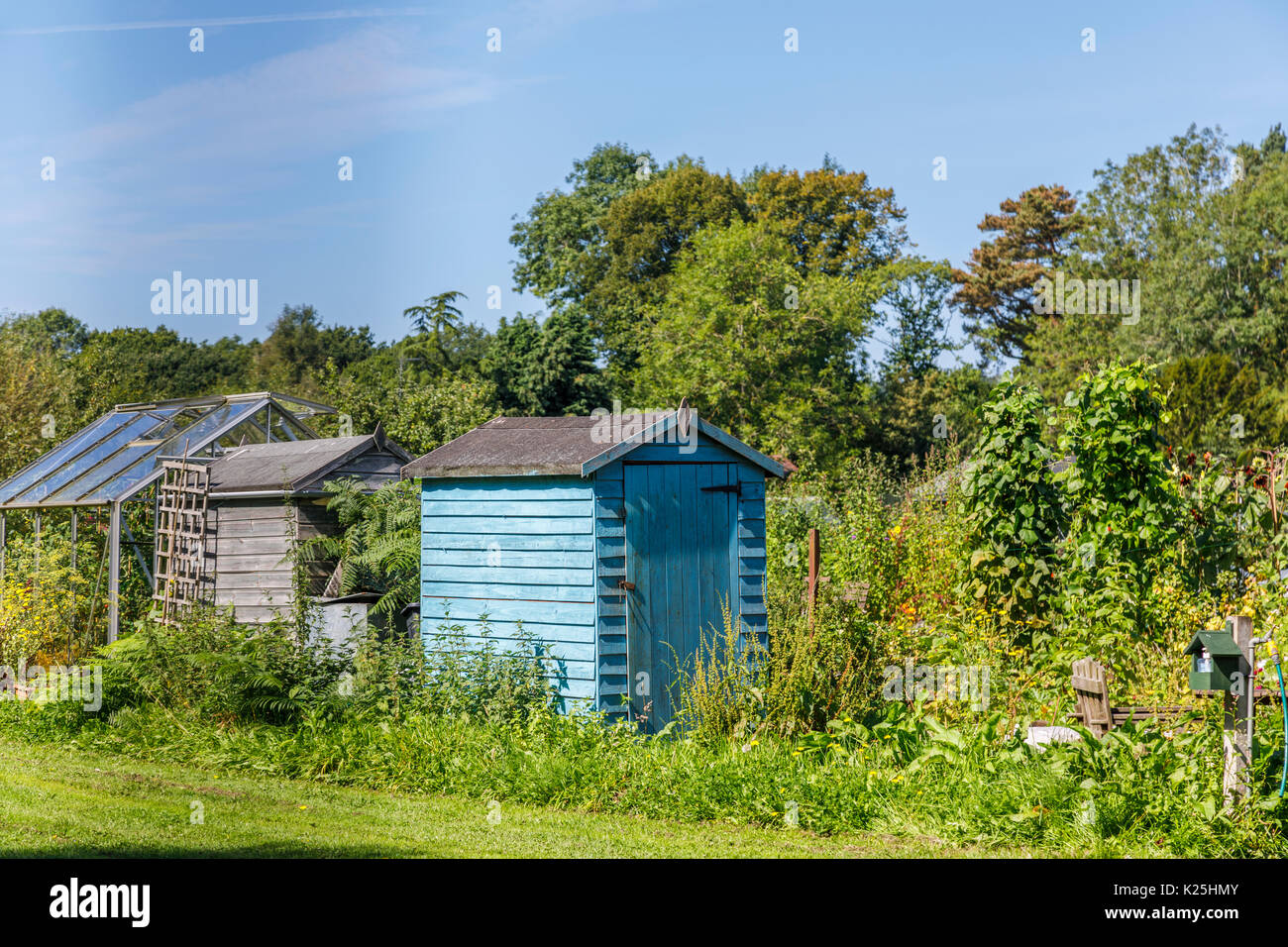 Blau Holz Gartenhaus Und Gewachshaus Auf Zuteilungen In Compton Einem Dorf In Der Nahe Von Guildford Surrey South East England Stockfotografie Alamy