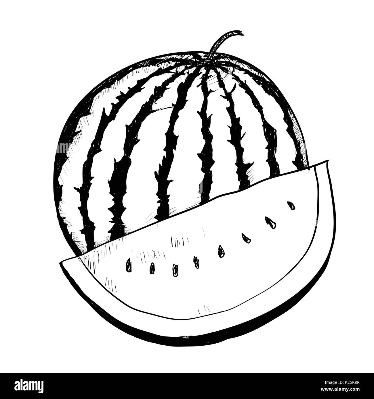 Hand Zeichnung der Wassermelone auf weißem Hintergrund. Schwarz und Weiß eine einfache Linie Vektor Illustration für Malbuch - Linie Vektor Stock Vektor