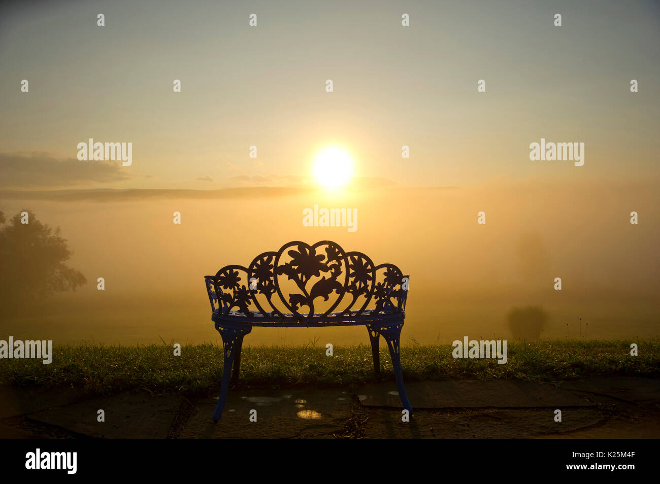 Reich verzierten schmiedeeisernen Sitzbank bei Sonnenaufgang Stockfoto