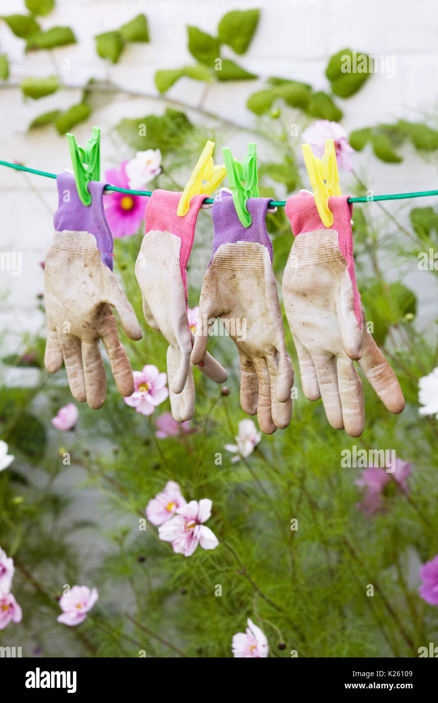 Gartenhandschuhe trocknen auf der Wäscheleine. Stockfoto