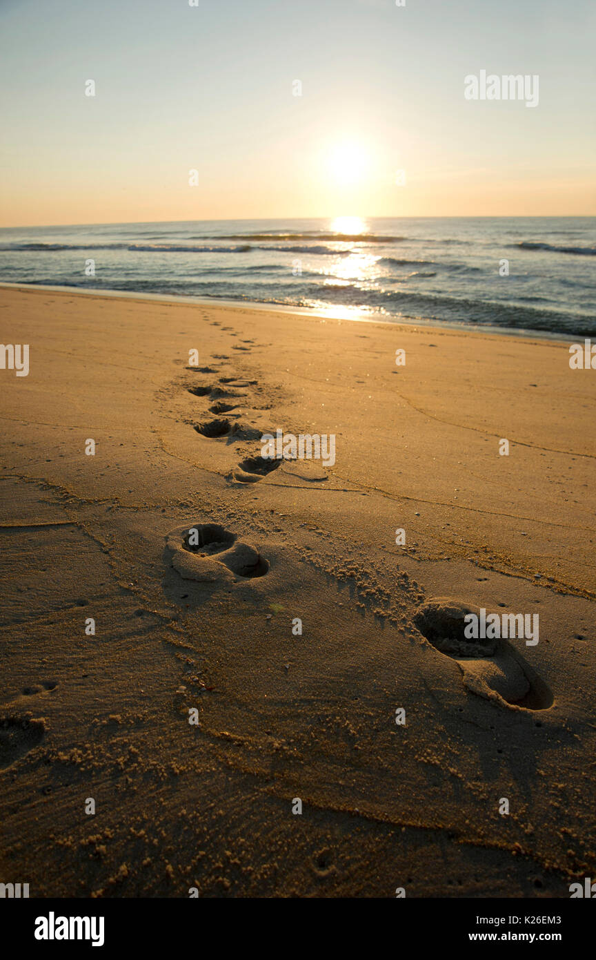 Sonnenaufgang am Strand Stockfoto