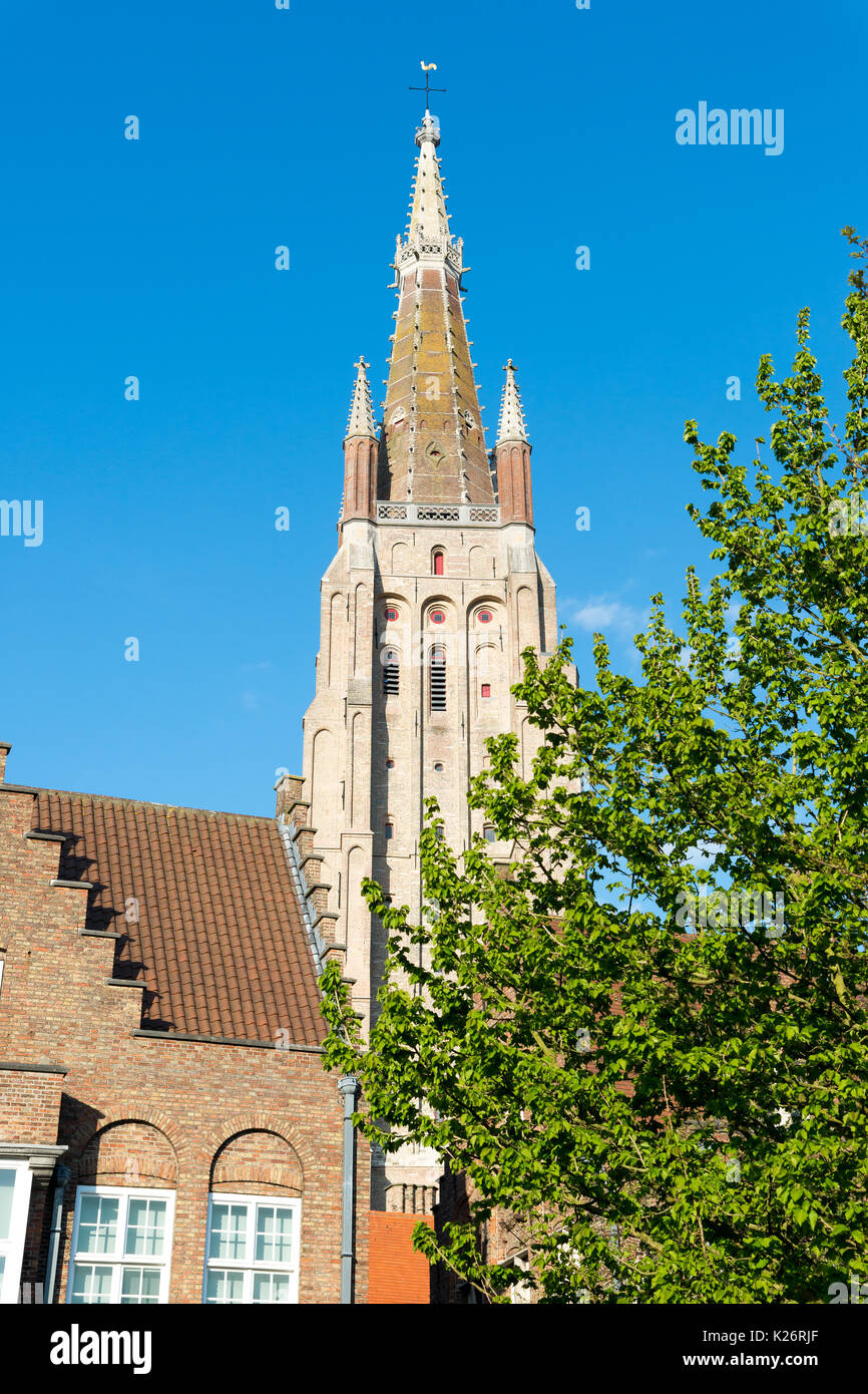 Sint-Salvator-Kathedrale am sonnigen Tag in Brügge, Belgien. Stockfoto