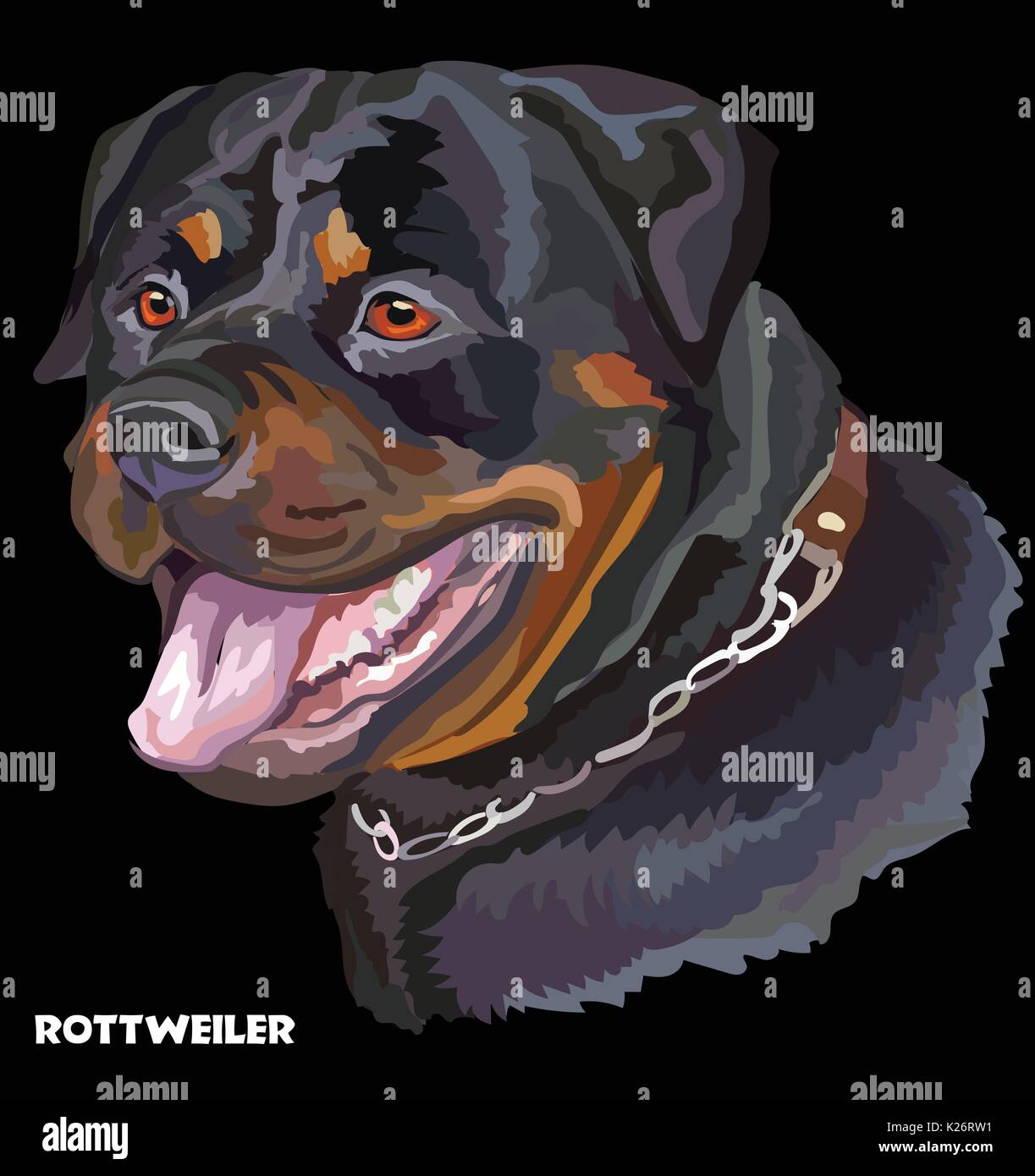 Farbige Portrait von Rottweiler isoliert Vector Illustration auf schwarzem Hintergrund Stock Vektor