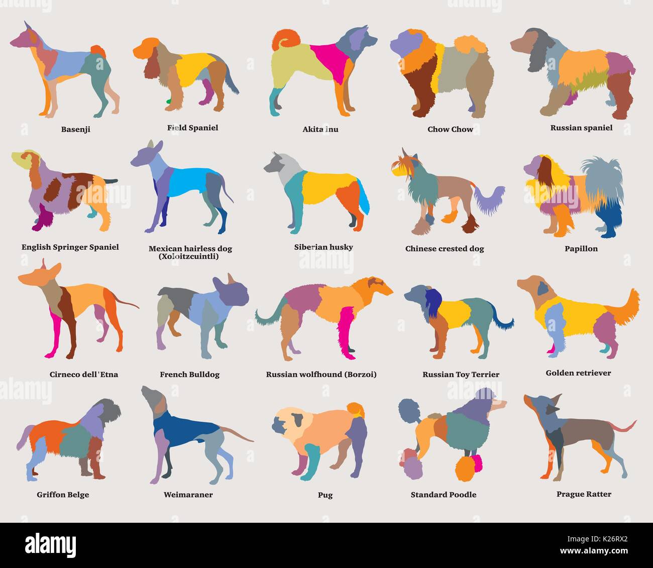 Vektor einrichten von bunten Mosaik isolierter verschiedene Rassen hunde Silhouetten auf grauem Hintergrund. Teil 3 Stock Vektor