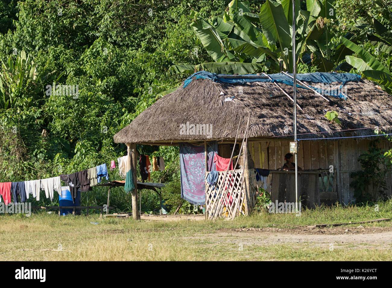 Juni 6, 2017 Misahualli, Ecuador: kleine Wohnung Hütten aus Holz Bohlen im Amazonasgebiet gemacht Stockfoto