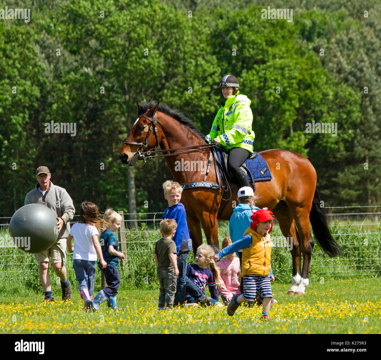 Polizei Frau reiten Bay Horse spielen Spiel von Horse Fußball mit einer Gruppe von Kindern in ländlicher Umgebung in der Nähe von Metal in Northumberland, England Stockfoto