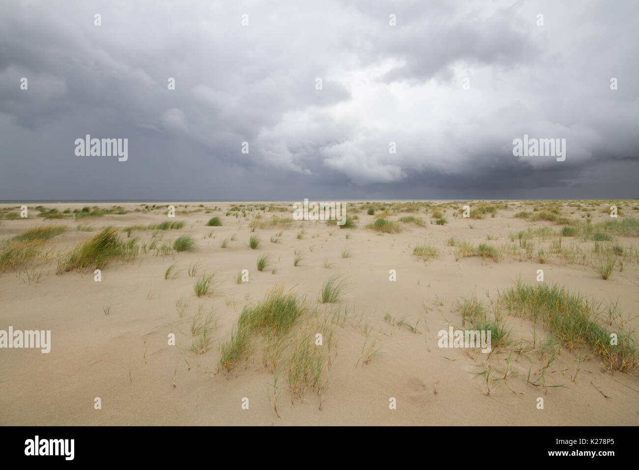 Dunkle, bedrohliche Wolken über einem riesigen Strand mit Sand Couch und Strand Gras Stockfoto