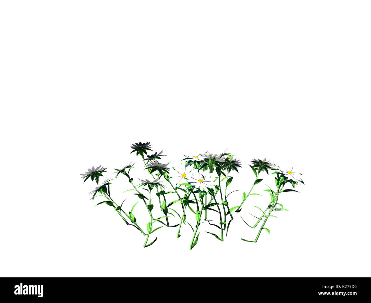 3D-Rendering von Blume Bush Isolated On White kann für Vordergrund Design verwendet werden. Stockfoto