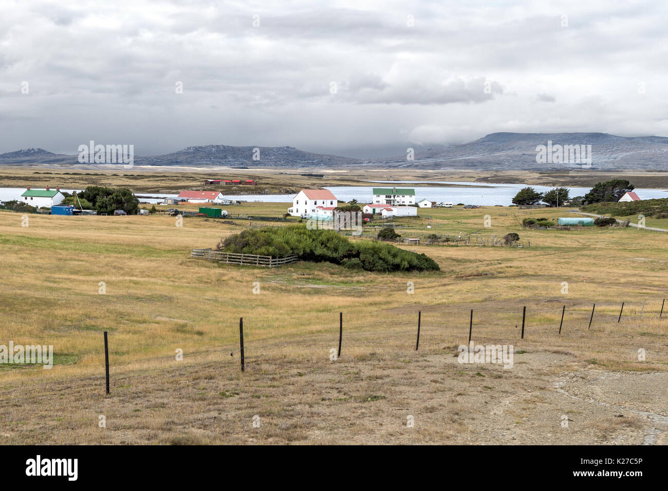 Goose Green Falkland Insel Malvinas Stockfoto