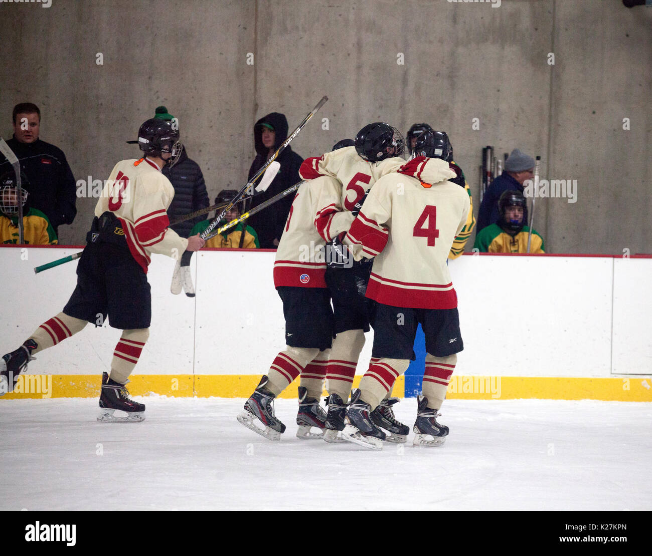 Verletzte Hockeyspieler aus dem Eis, die von den Kolleginnen und Kollegen geholfen. Minneapolis Minnesota MN USA Stockfoto