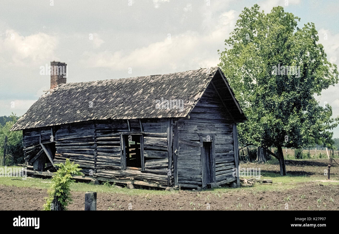 Eine alte verlassene Haus mit einem Schindeldach und einen gemauerten Schornstein ist langsam verfielen in einen Bauernhof im nördlichen Florida, USA anmelden. Stockfoto