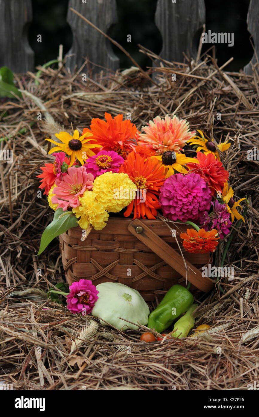 Anordnung der Herbst Blumen und Gemüse mit den alten Zaun und Stroh und Hale Ballen im Hintergrund; Gemüse, Melonen, Paprika, Squash... Stockfoto