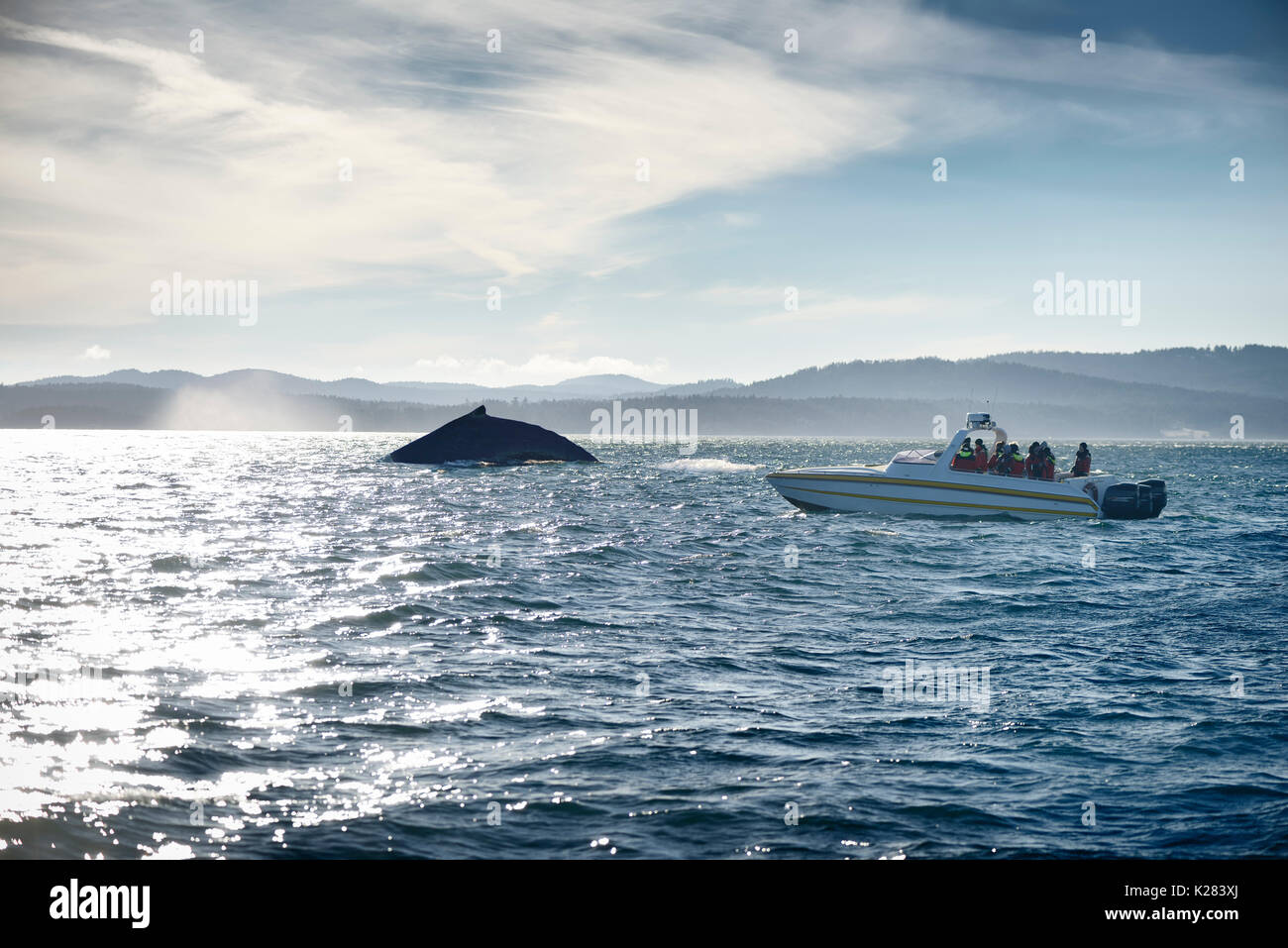 Menschen beobachten Buckelwale vom Boot aus in den Ozean in der Nähe von Vancouver Island, BC, Kanada 2017 Stockfoto