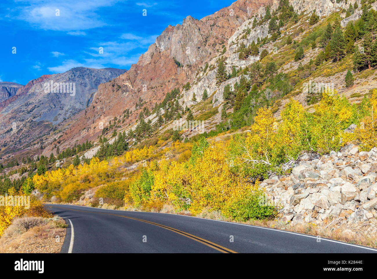 Buntes Herbstlaub neben Straße in Lundy Canyon in der östlichen Sierra Nevada in Kalifornien Stockfoto