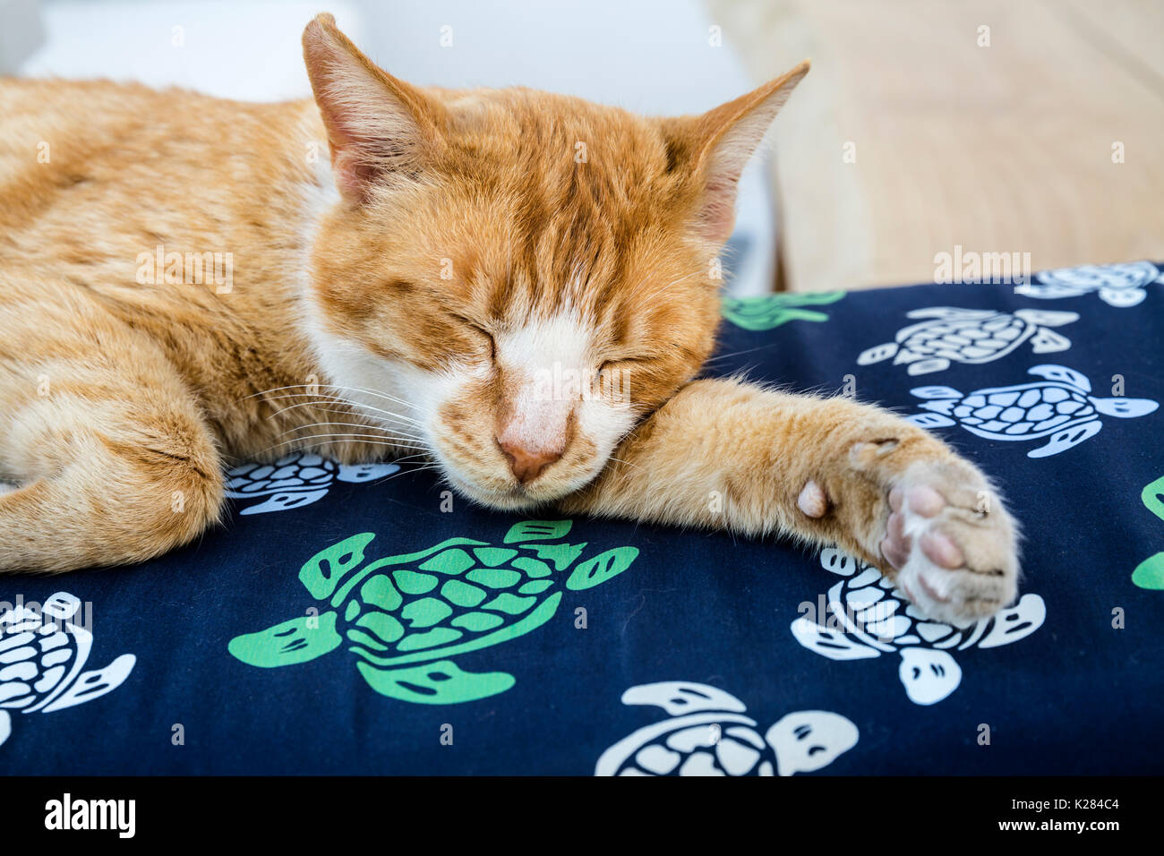 Ingwer Hauskatze schläft auf einer Matte, Mykonos, Griechenland Stockfoto
