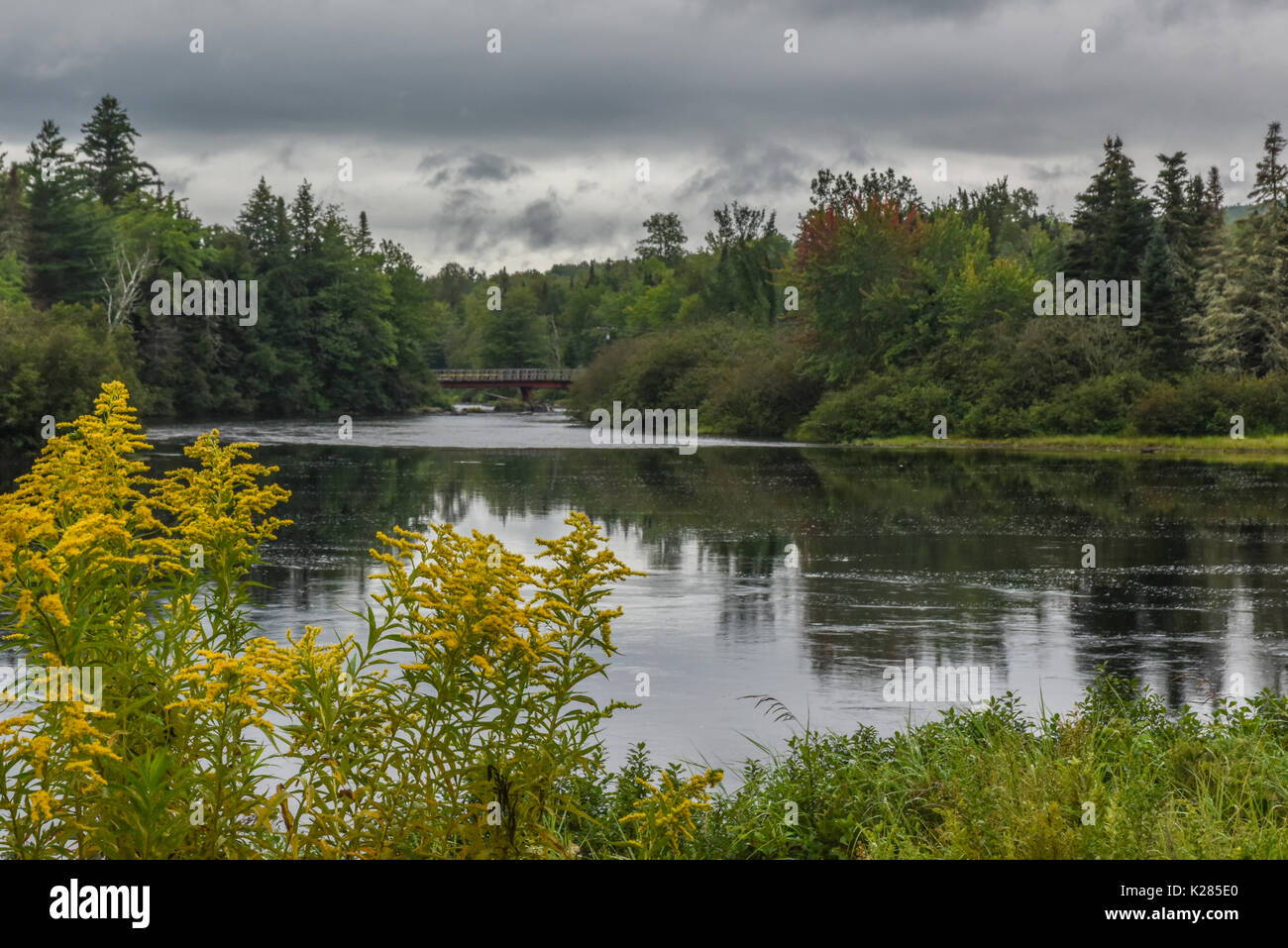 Bäume sind in der Androscoggin River in New Hampshire, Vereinigte Staaten von Amerika mit einem Roten Brücke sichtbar in der Ferne wider Stockfoto