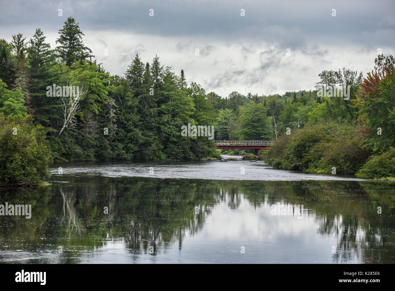 Bäume sind in der Androscoggin River in New Hampshire, Vereinigte Staaten von Amerika mit einem Roten Brücke sichtbar in der Ferne wider Stockfoto