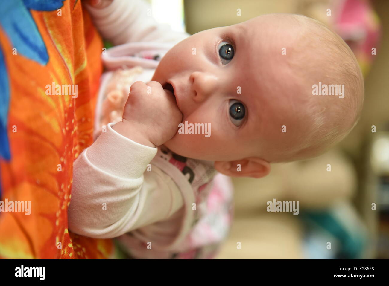 süße verträumte kleine Baby Mädchen Porträt Stockfoto