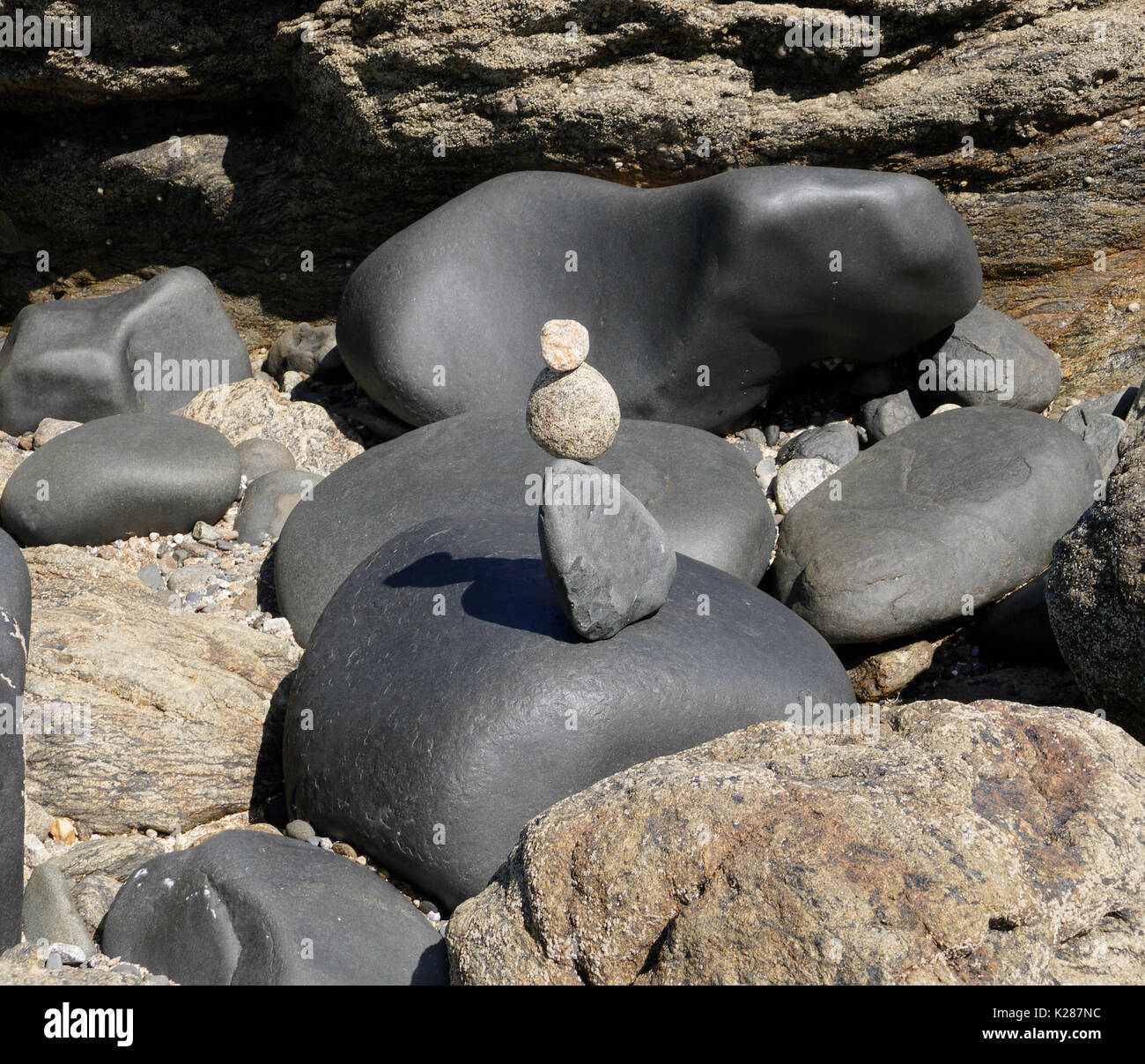 Schwarze Felsen an der Smaragdküste, in Dinard (Bretagne, Frankreich). Stockfoto