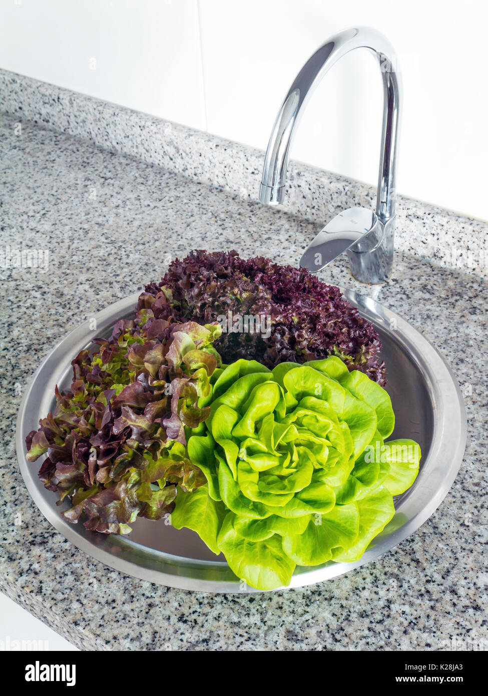 Grüne und rote Kopfsalat Waschen in der Spüle Stockfoto
