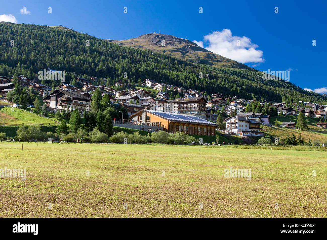 Breite braune grasartige Felder in der Nähe der grossen Stadt am Fuße einer großen grünen Berg mit meist klarer blauer Himmel Stockfoto