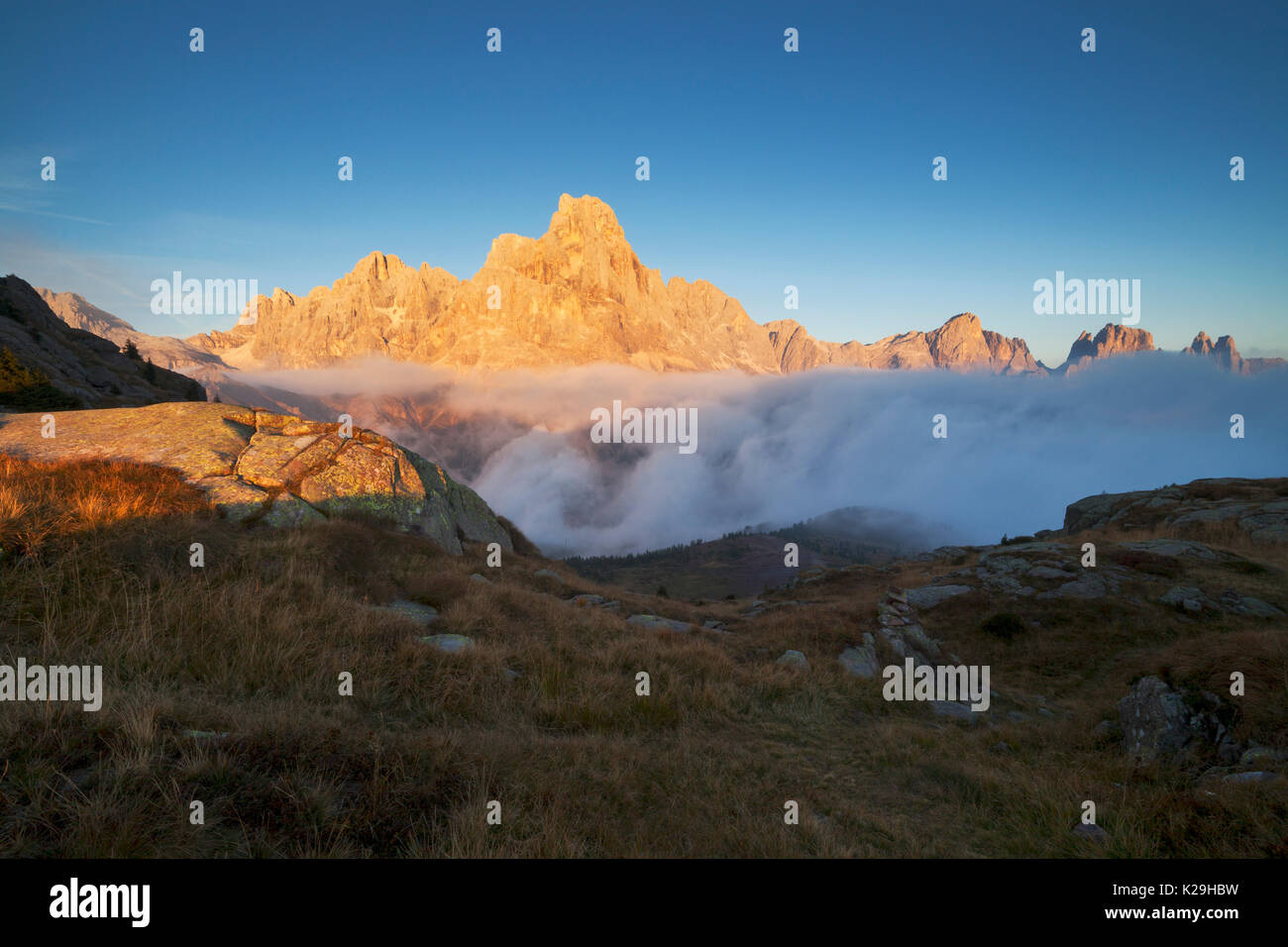 Tognazza, Alpen, Lagorai, San Martino di Castrozza, Trentino, Italien. Stockfoto