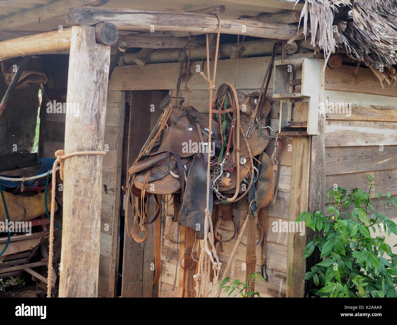 Pferd Sättel in Viñales in Kuba 13.07.2017. Sehr beliebt zum Reiten. Stockfoto