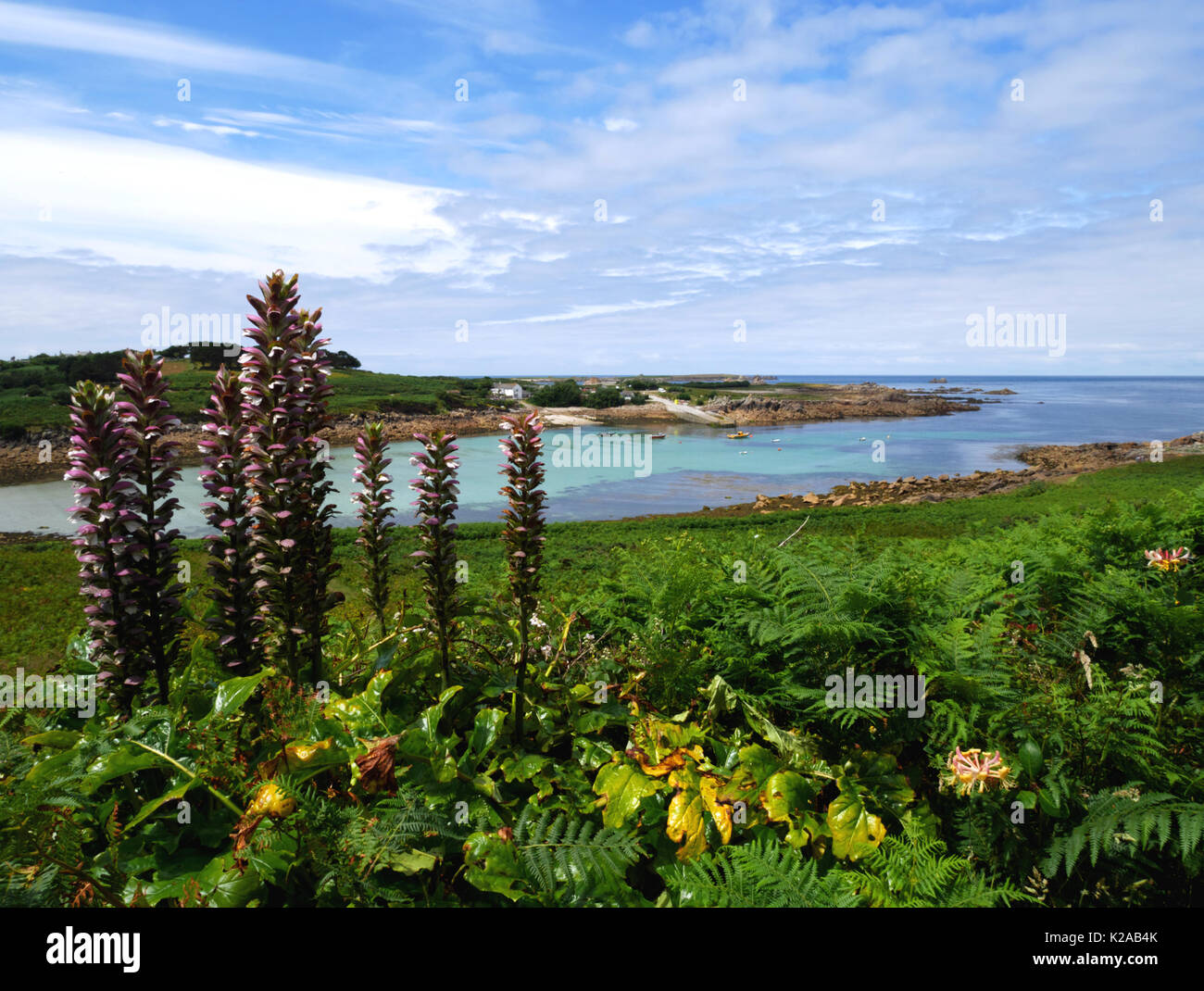 Porth Conger und die Insel der hl. Agnes, von Gugh, Scilly Inseln gesehen. Stockfoto