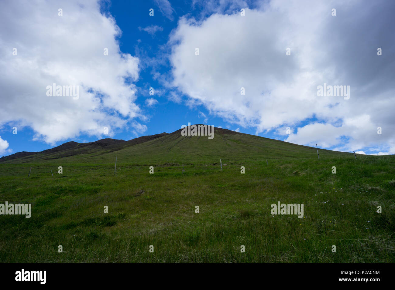 Island - grünes Moos bedeckt Vulkan mit blauer Himmel Stockfoto