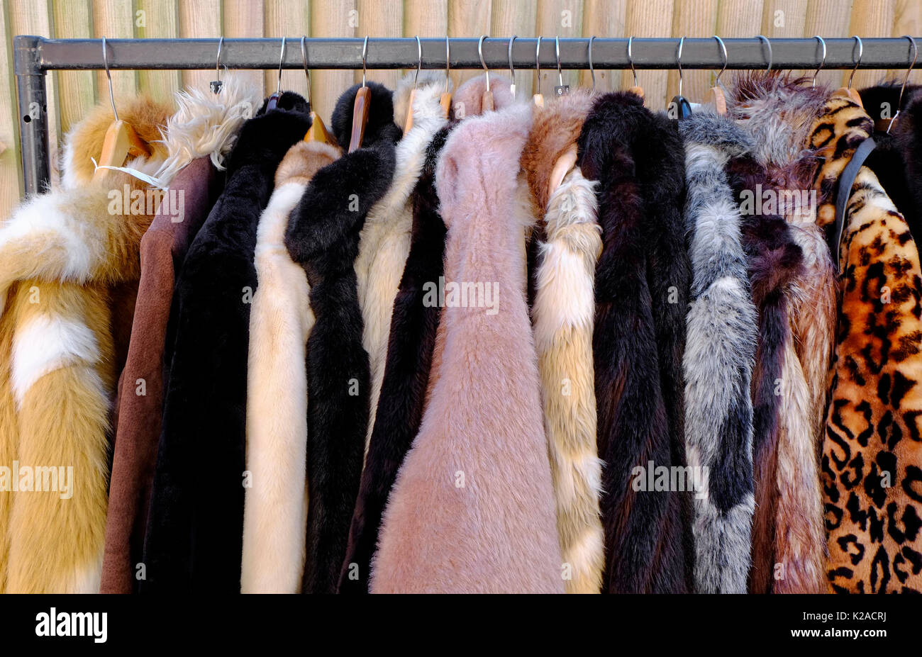 Fake Pelzmäntel hängend auf Rack, Norfolk, England Stockfoto