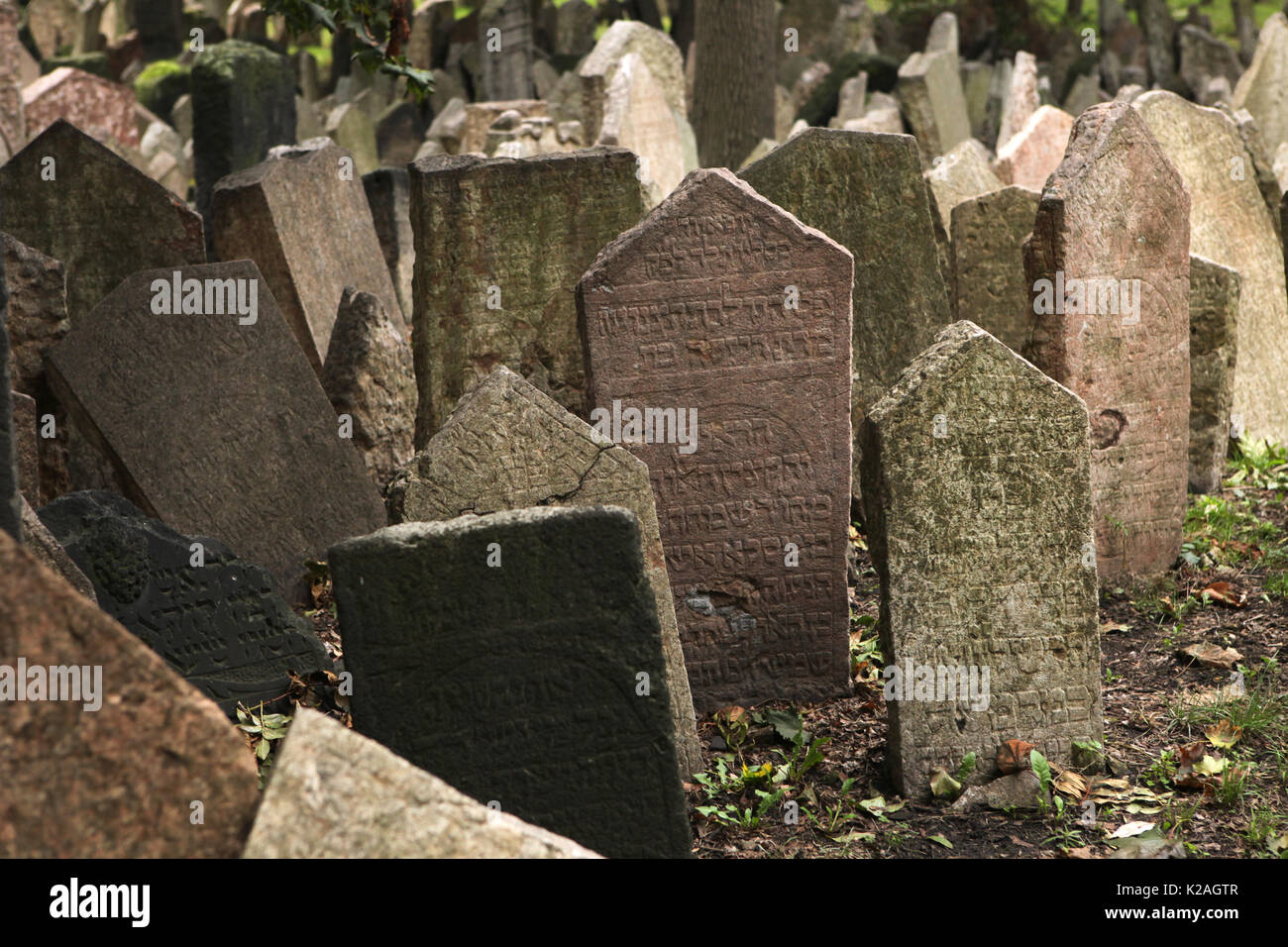 Alter Jüdischer Friedhof (Starý židovský hřbitov) im jüdischen Viertel
