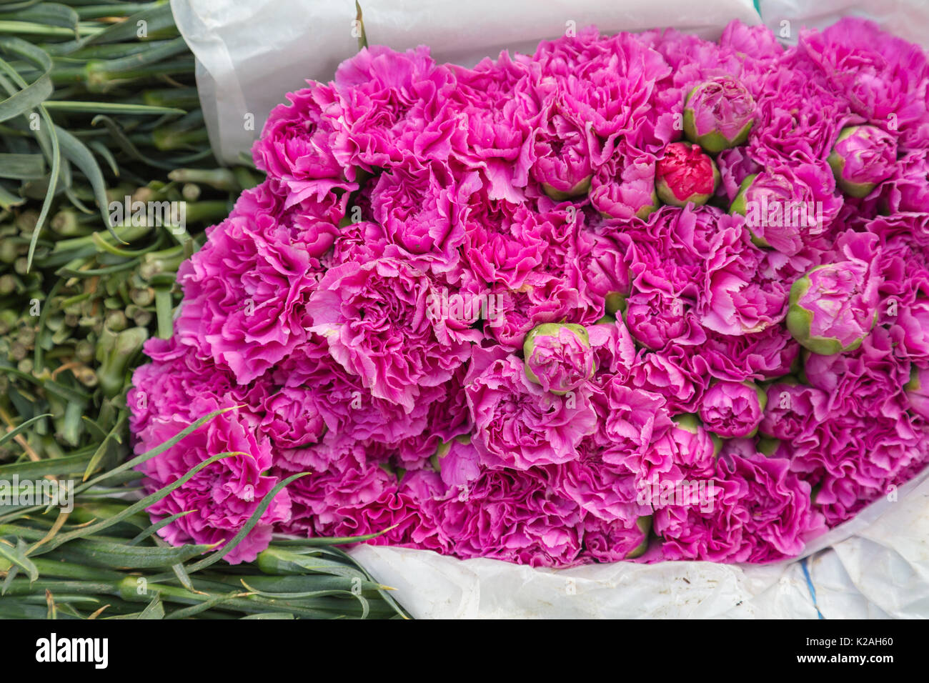 Einen Strauß mit frischen rosa Nelke bereit von Markt zu lokalen Floristen, Cancun, Yucatan, Mexiko zu liefern. Stockfoto