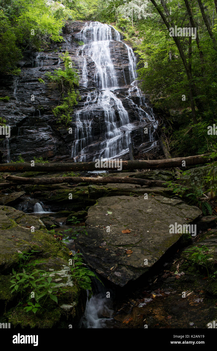 Horsetrough Falls befinden sich im Norden Georgiens im Mark Trail Wildnisgebiet am Oberlauf des Chattahoochee River als es fließt aus Horsetrough Berg.  In ca. 500 Meilen wird das Wasser, das über fließt in den Golf von Mexiko dump.  Die Wasserfälle sind etwa 70 ft. hoch und die näheren Umgebung ist dick mit üppiger Vegetation.  Waterflow tendenziell relativ leicht in allen aber den Wintermonaten oder nach einem erheblichen Regen in der Gegend. Stockfoto