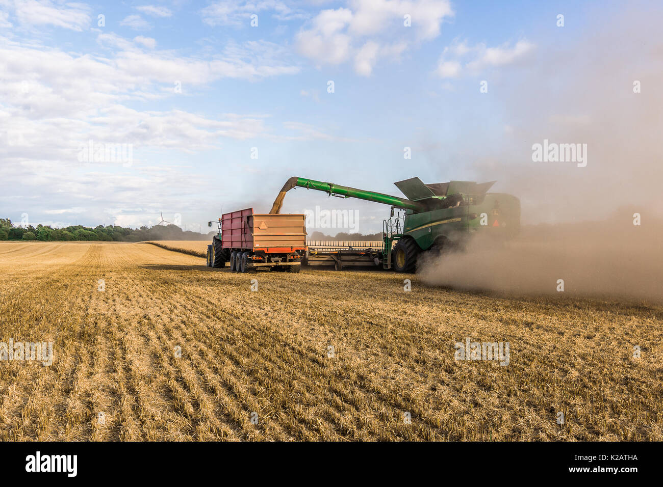 Mähdrescher Abflüsse Getreide in einem Traktor, Ernte in einem gelben Feld auf Borkop, Dänemark, 27. August 2017 Stockfoto