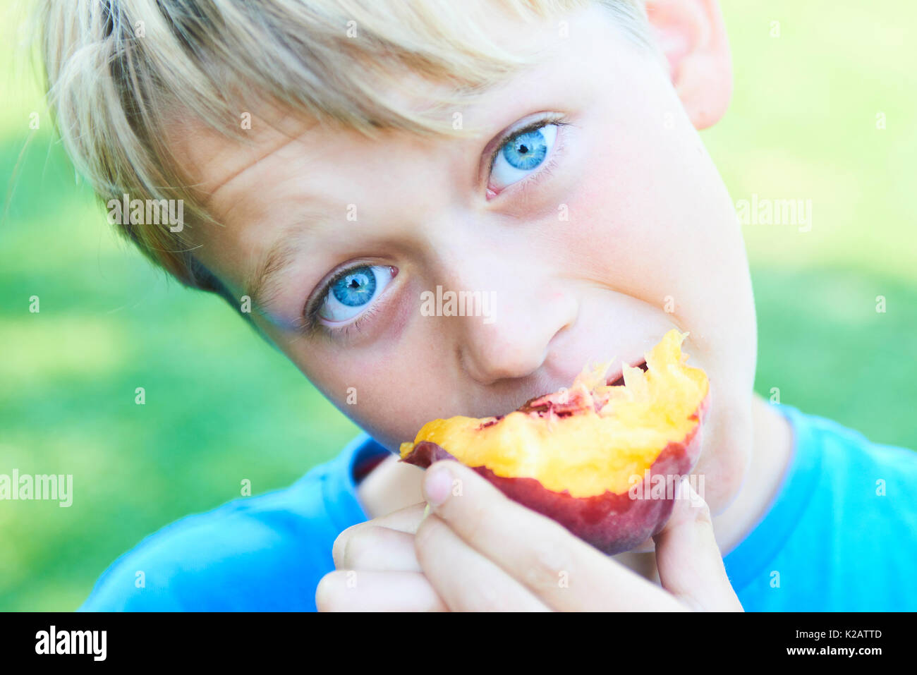 Portrait von Kind Junge Pfirsich zu essen. Glückliches Kind in der sonne sommer Tag. Kind mit Obst in der Natur Hintergrund. Stockfoto