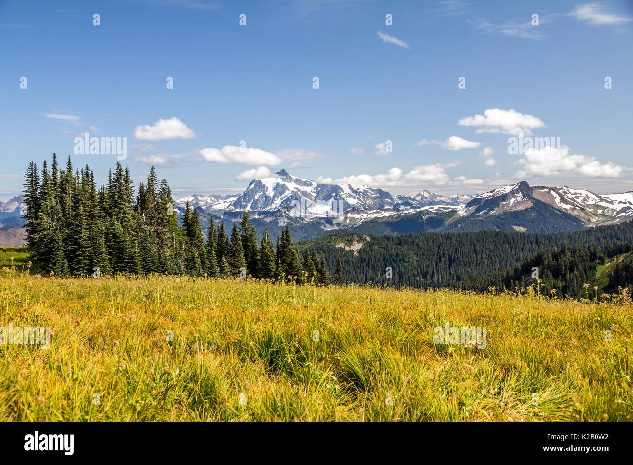 Aussicht auf den Mt Baker im Norden Kaskaden von Staat Washington - südlich von Vancouver, BC - Von der Skyline gesehen Teilen Wanderweg. Stockfoto