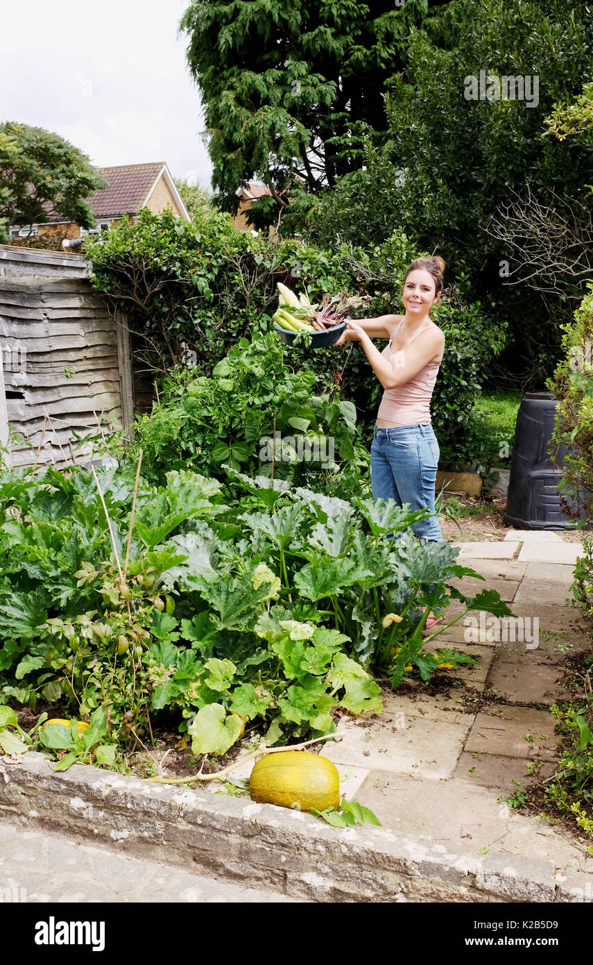 Junge Frau in ihrem Garten Zuteilung mit frisch geernteten Gemüse Zuckermais Zucchini und rote Rüben Rettich gold UK Foto aufgenommen von Simon Da Stockfoto