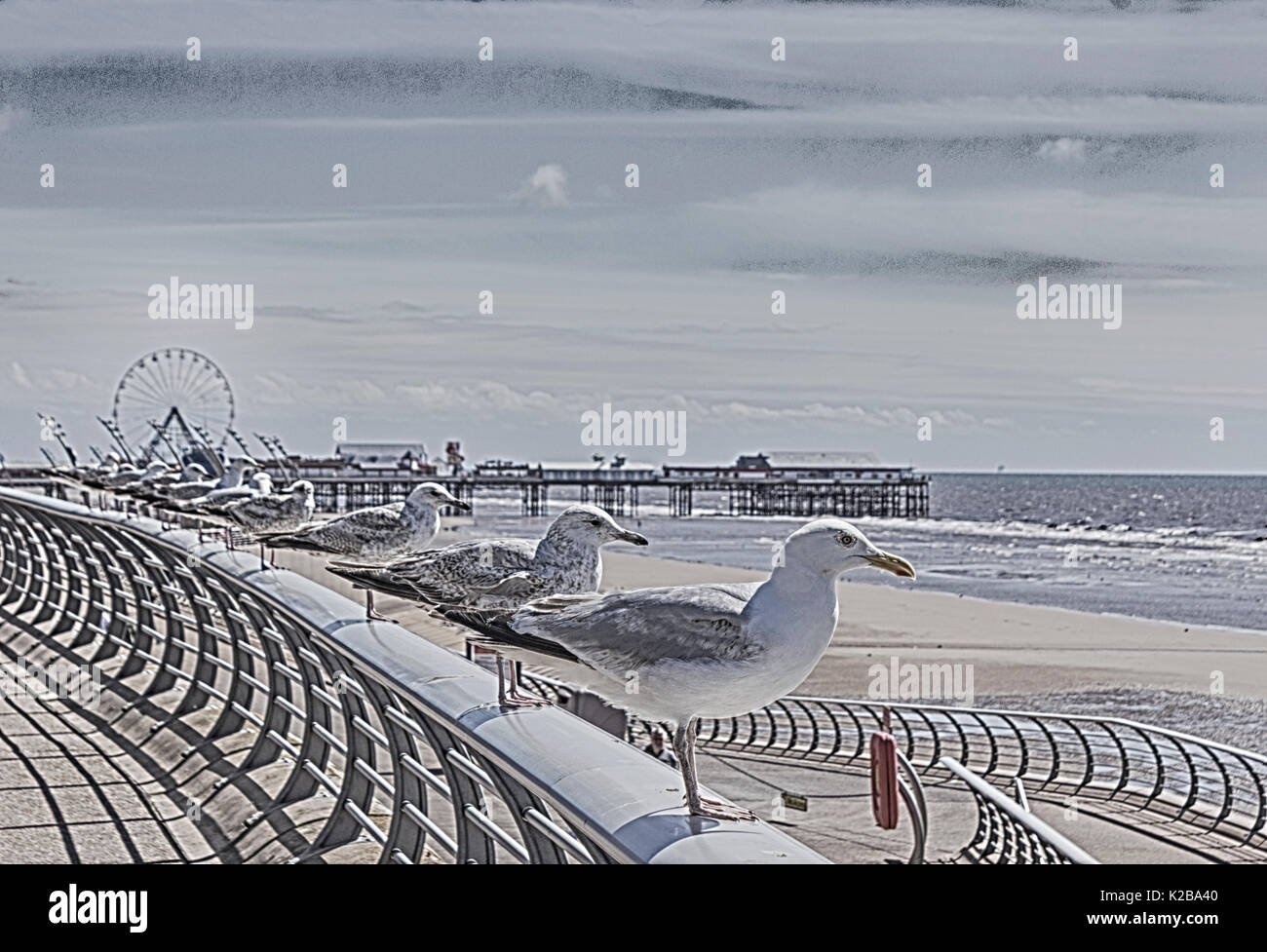 Blackpool, Fylde Coast, Lancashire, England. Reihe von Möwen auf einem Geländer thront mit Meerblick. Stockfoto