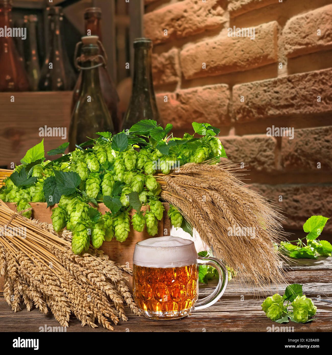 Bierglas mit Hopfen und Gerste in der Brauerei Stockfoto